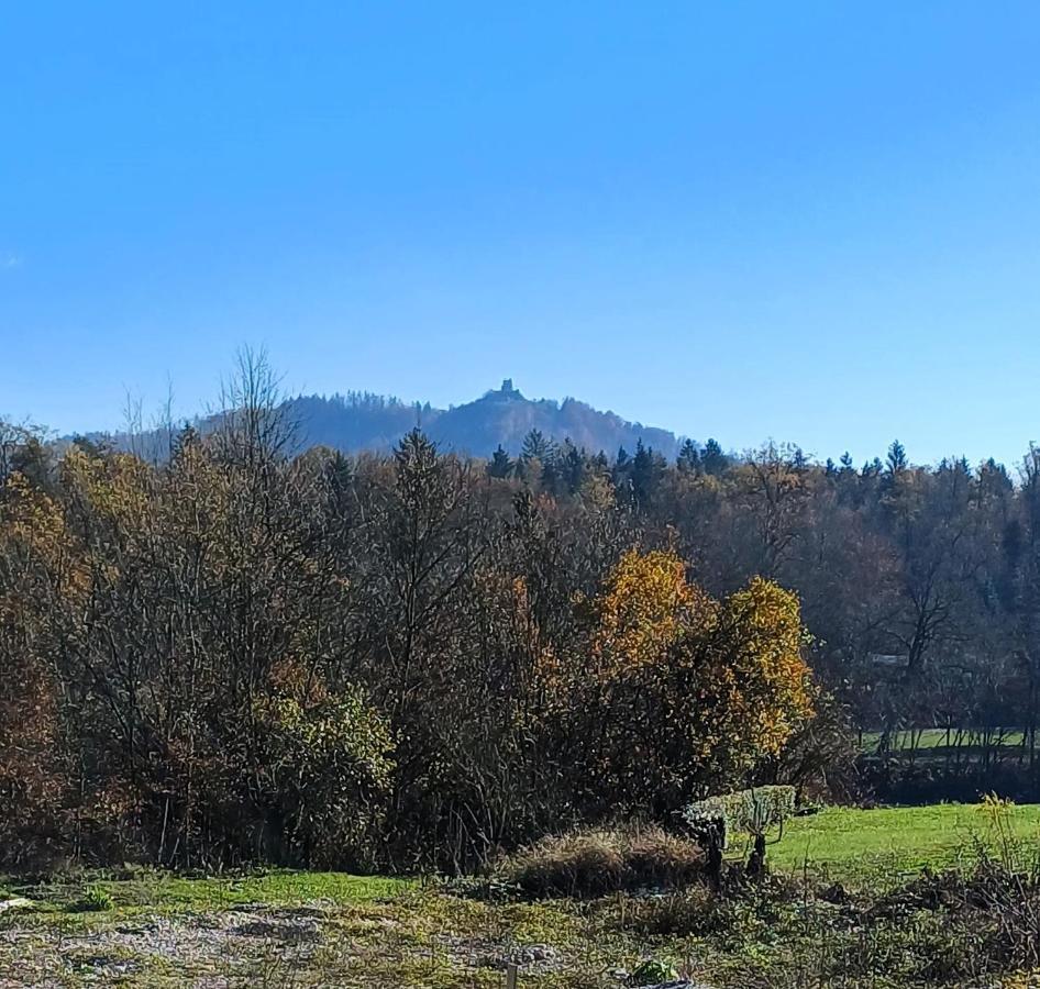 Apartmaji Stars Mavcice Exteriér fotografie